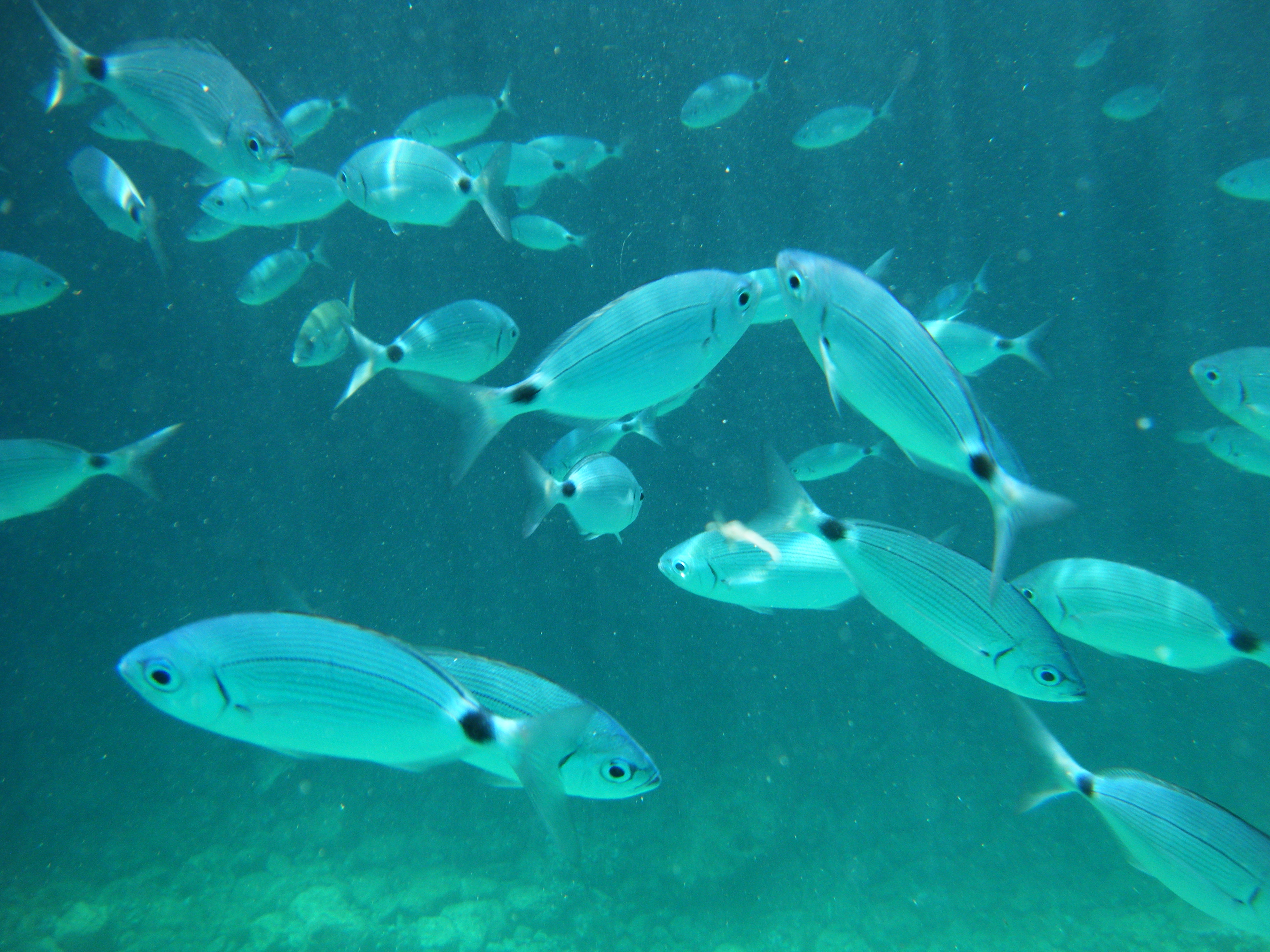 Underwater