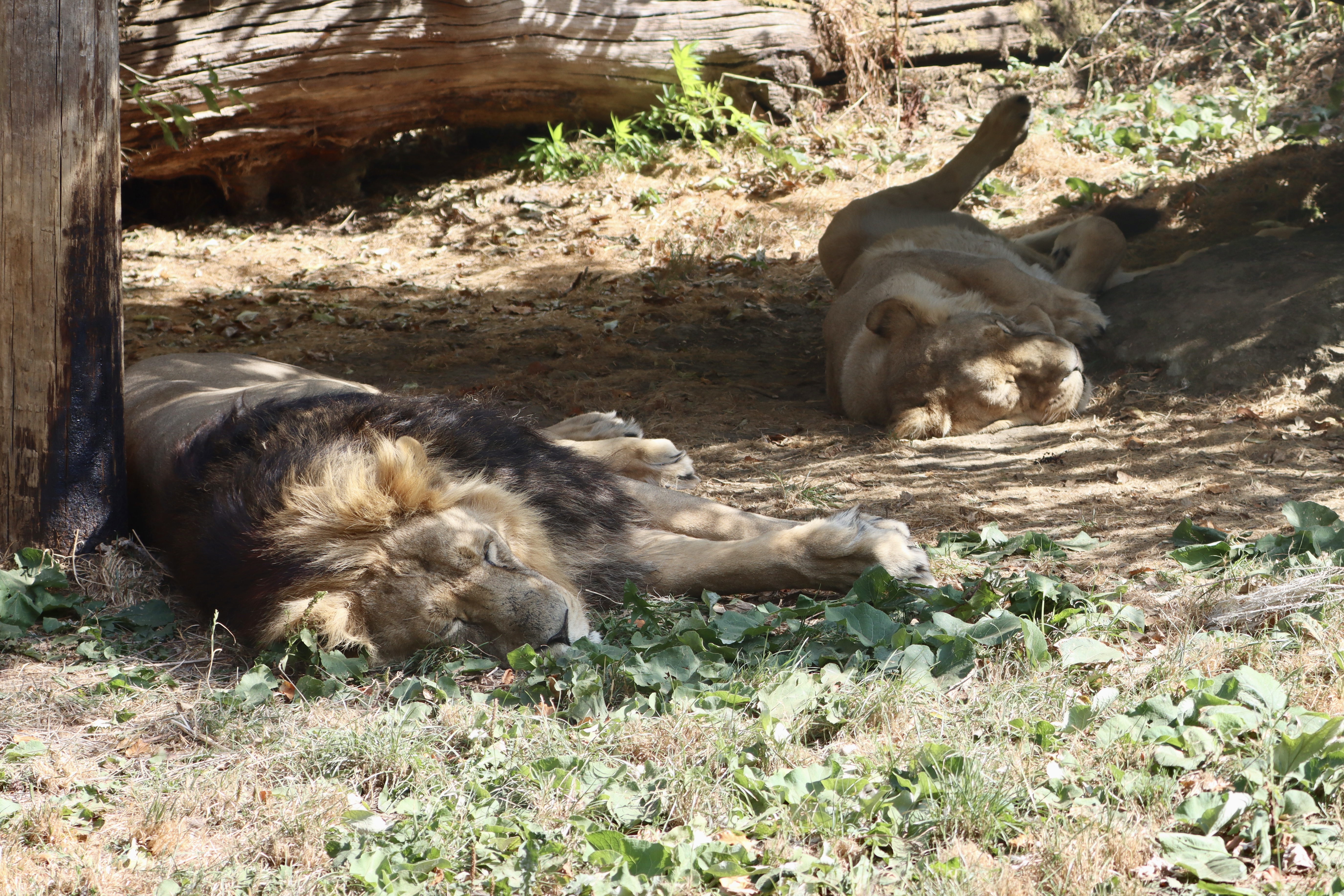 This is an image 2026-08-24