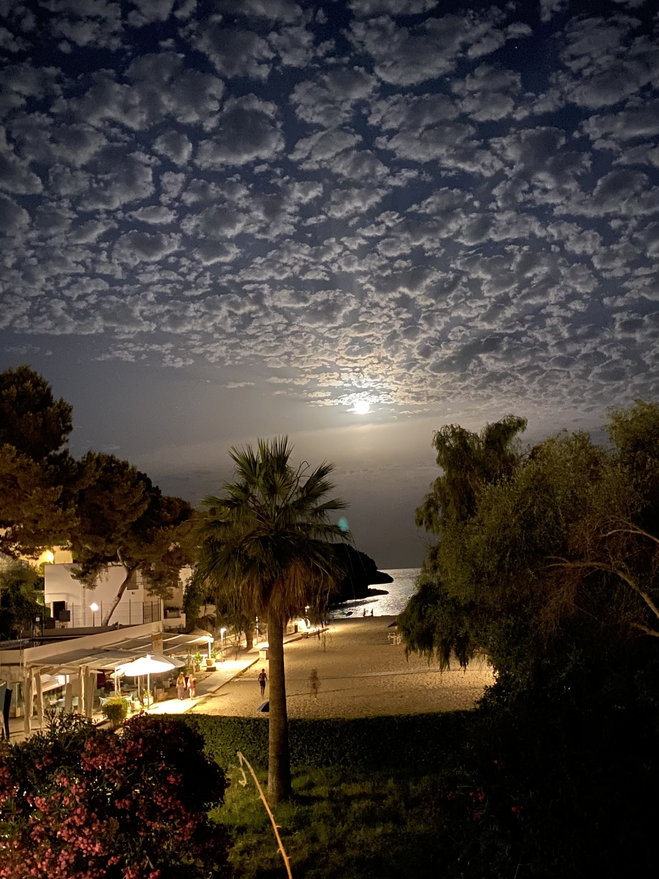 Rising moon