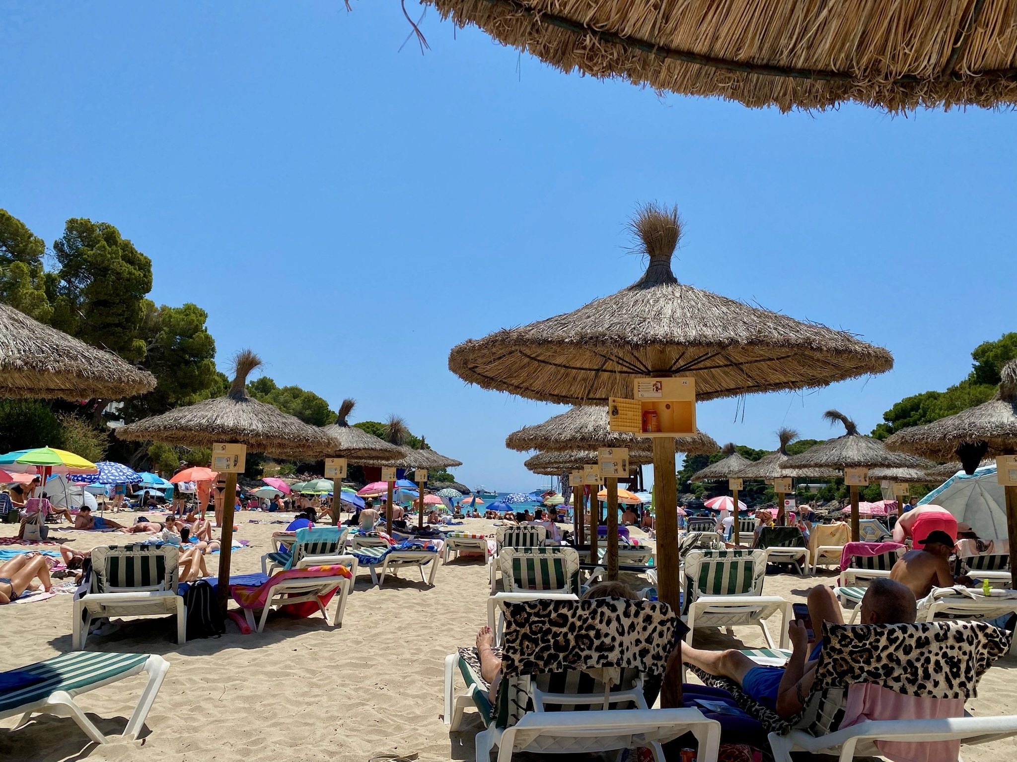 Sunbeds and parasols